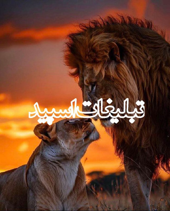 دورهمی خودمونی (1)