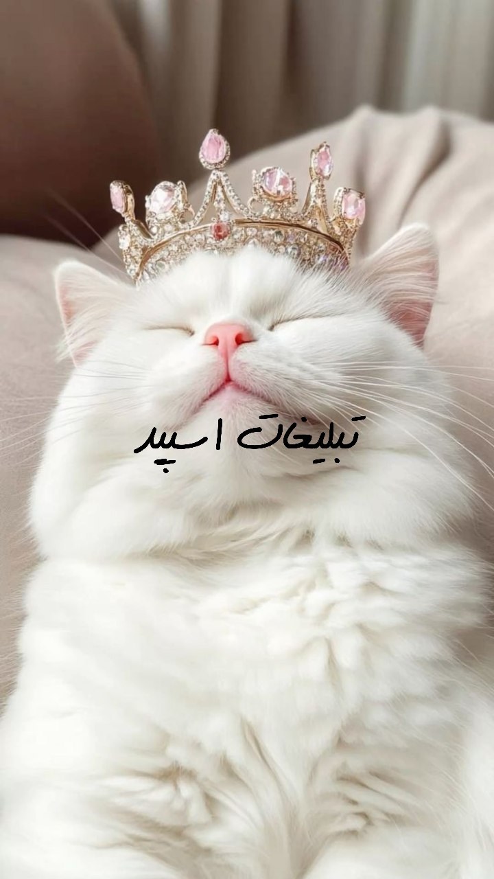 گروه تلگرام دورهمی خوبان سمنان