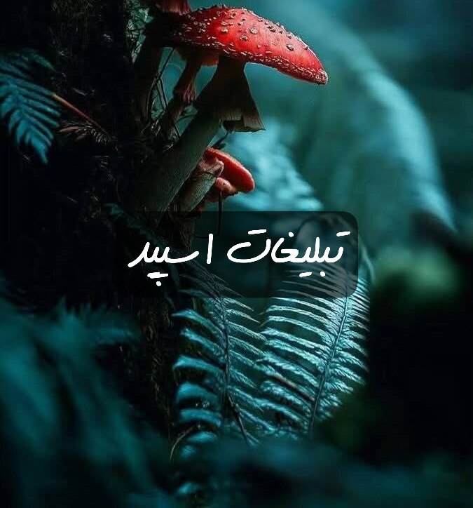 گروه تلگرام چتکده لاهیجان