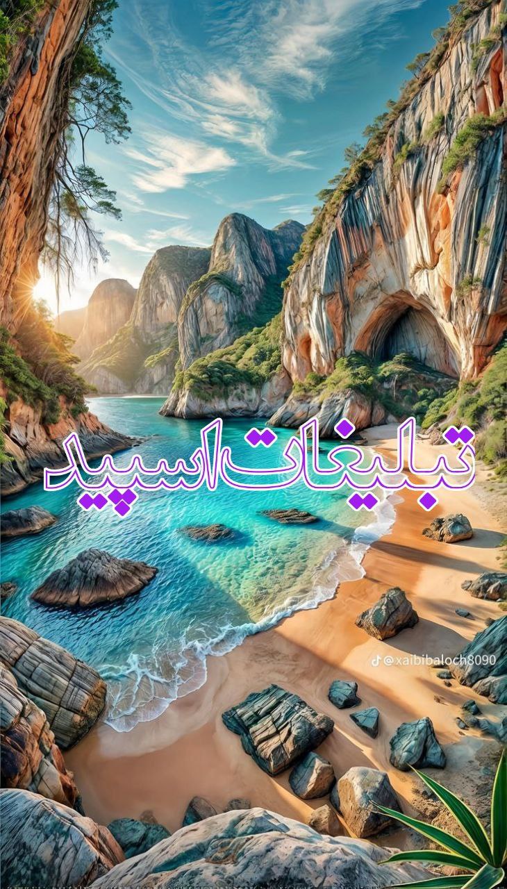 ولف لند (14)