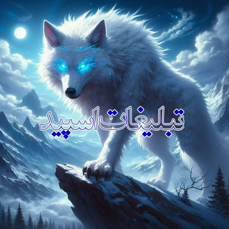 💞🦋 دوستان ماندگار 🦋 💞 (1)