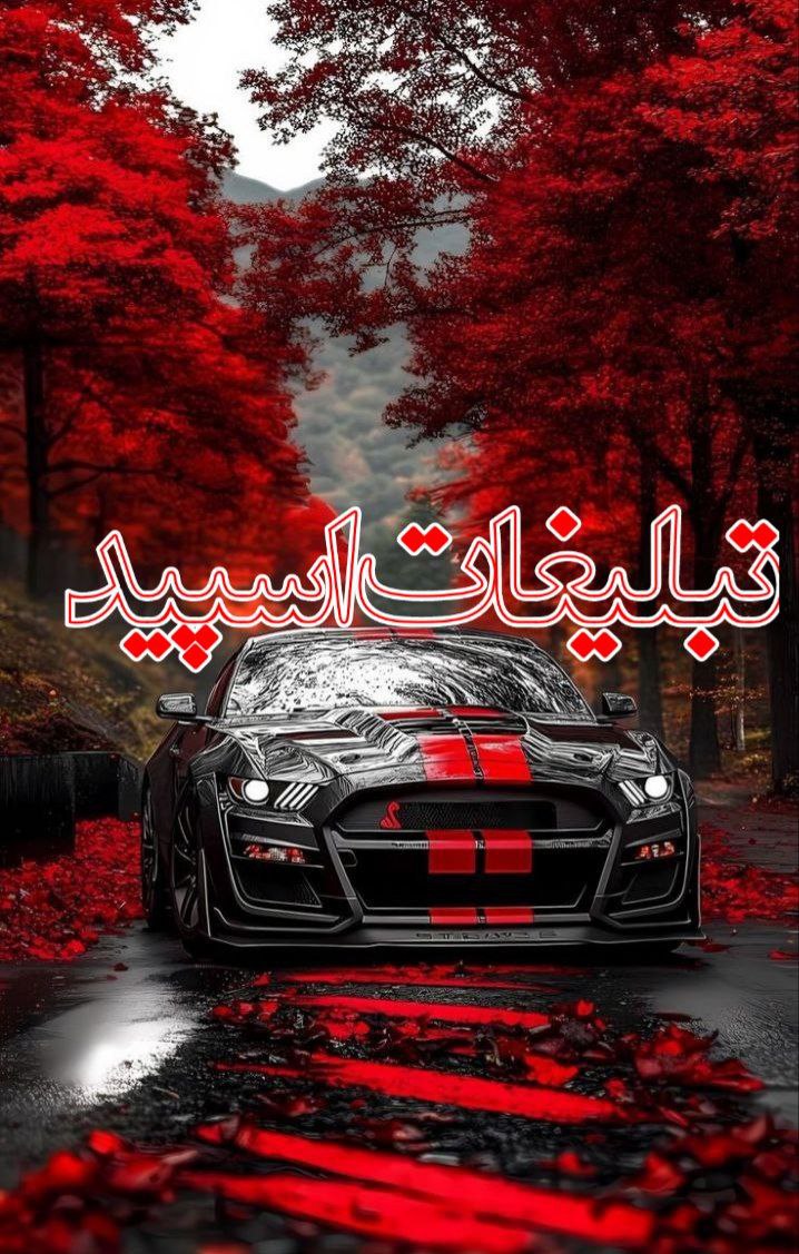 🦋 گروه وفاداران 🦋 (2)