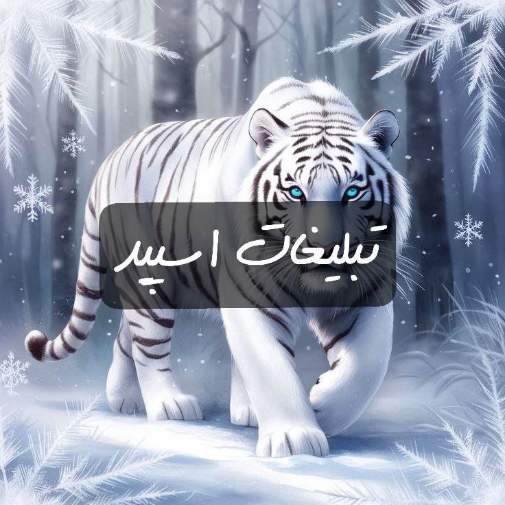 گپ تلگرام دورهمی 