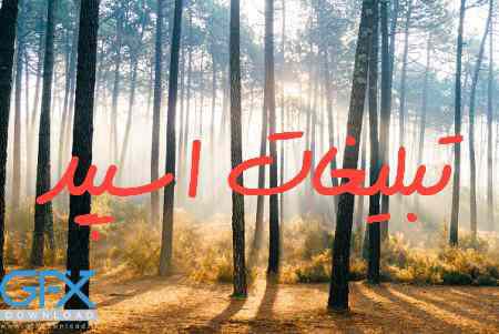 گروه چت تلگرام آوای دریا