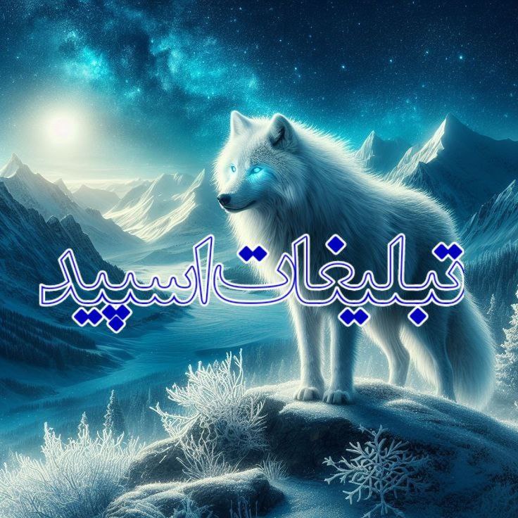 وایلد ولف (192)