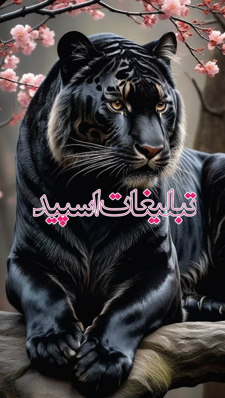 ◄𝄟≛⃝🧿❉‌‌্᭄ سـ۪ٜـ۪ٜـ۪ٜـ۪ٜـ۪ٜـ۪ٜرزمین آریــایے 𝄟✾ُُ𝆹𝅥𝅮️ (21)