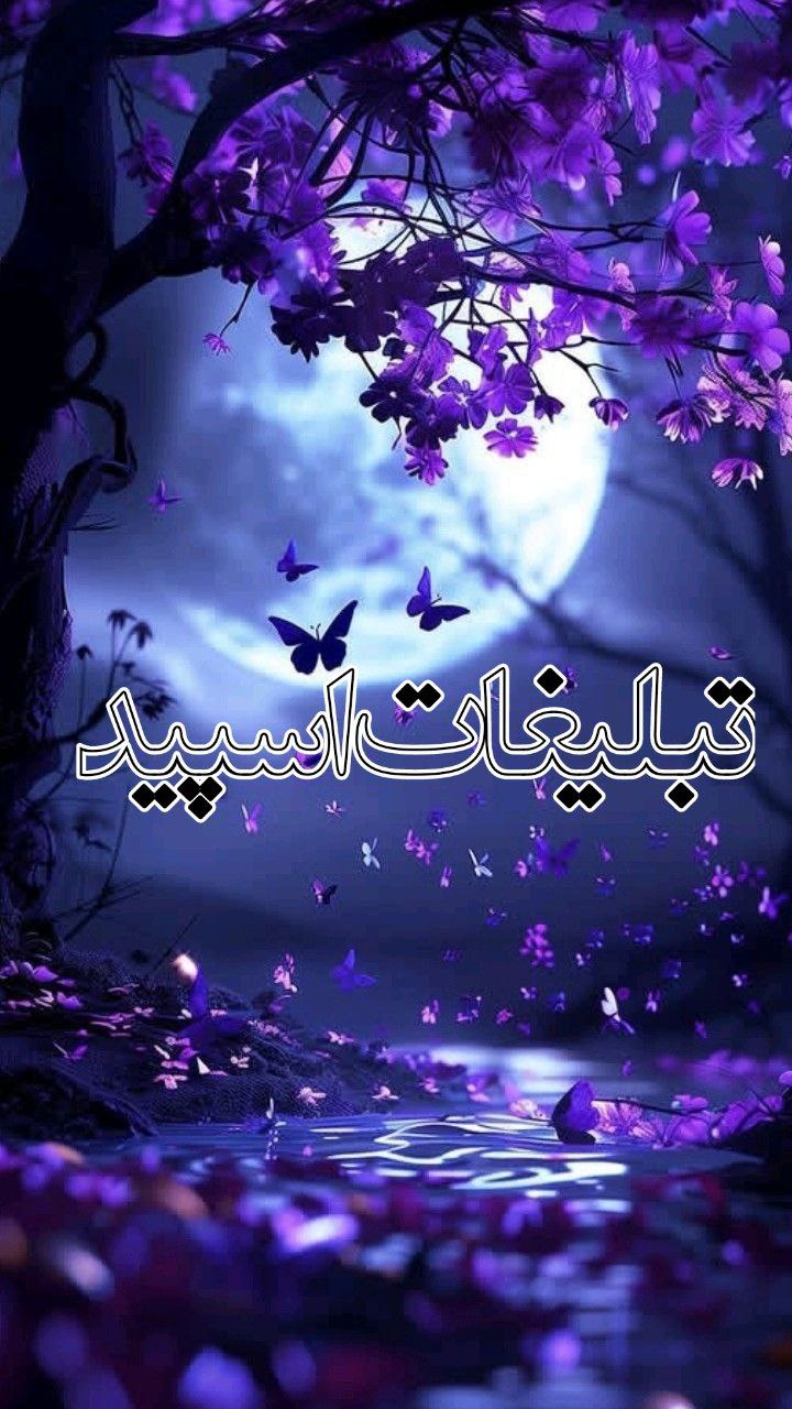 دورهمی مشهد 🍻