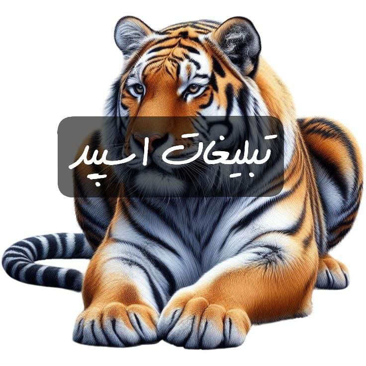 گپ تلگرام یک بغل رفاقت 