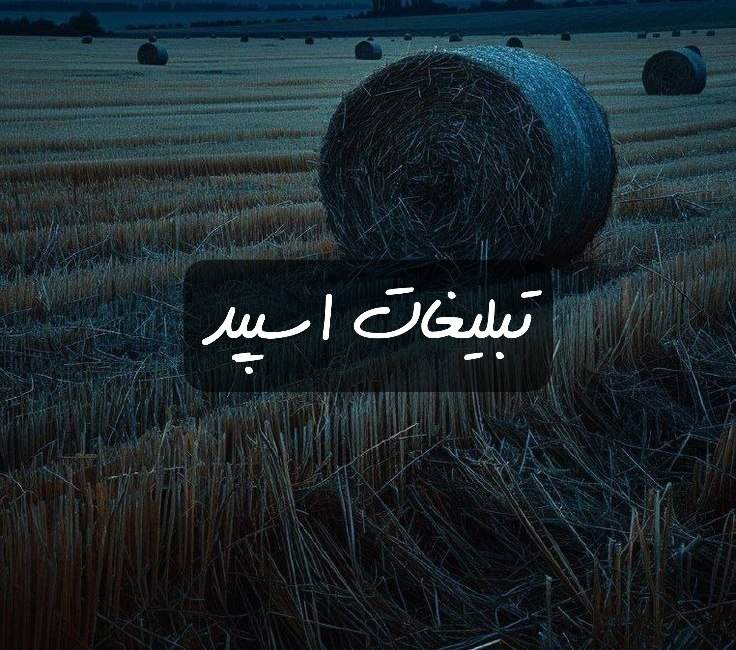 گروه تلگرام گوگولیا