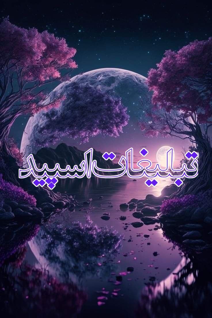 وایلد ولف (113)