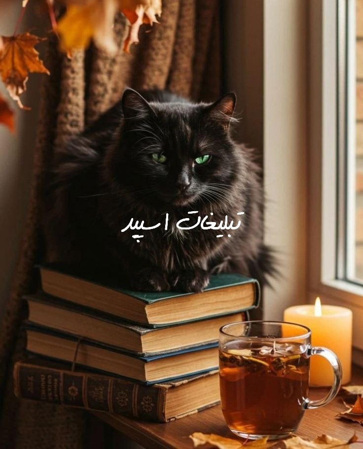 گروه تلگرام رفقای ابدی