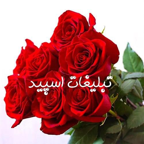 گروه چت تلگرام عشق و دوستی