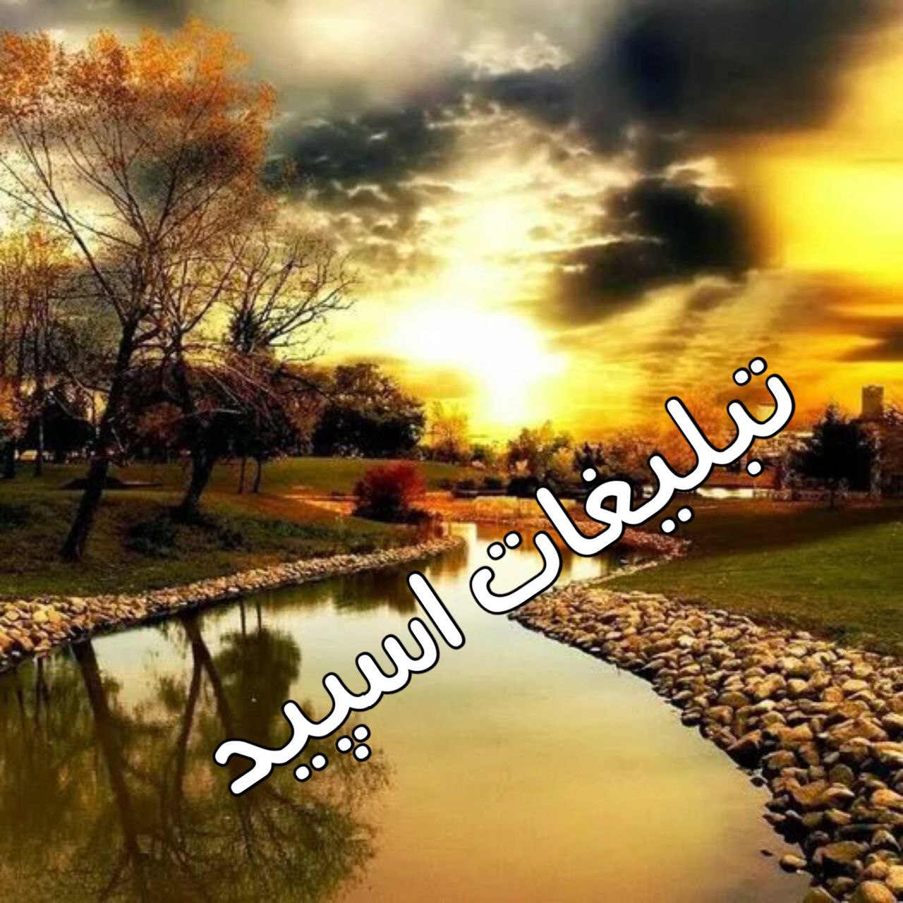 گروه چت دورهمی قلب های مشکی