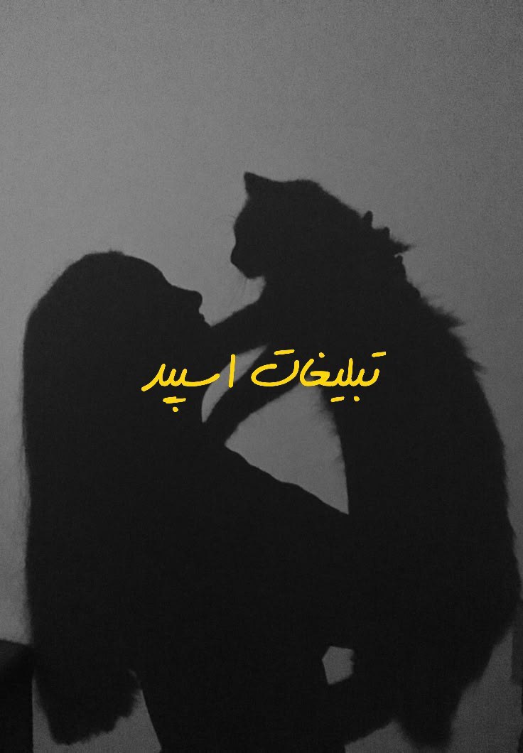 گروه تلگرام میتینگ باحالای بردسیر