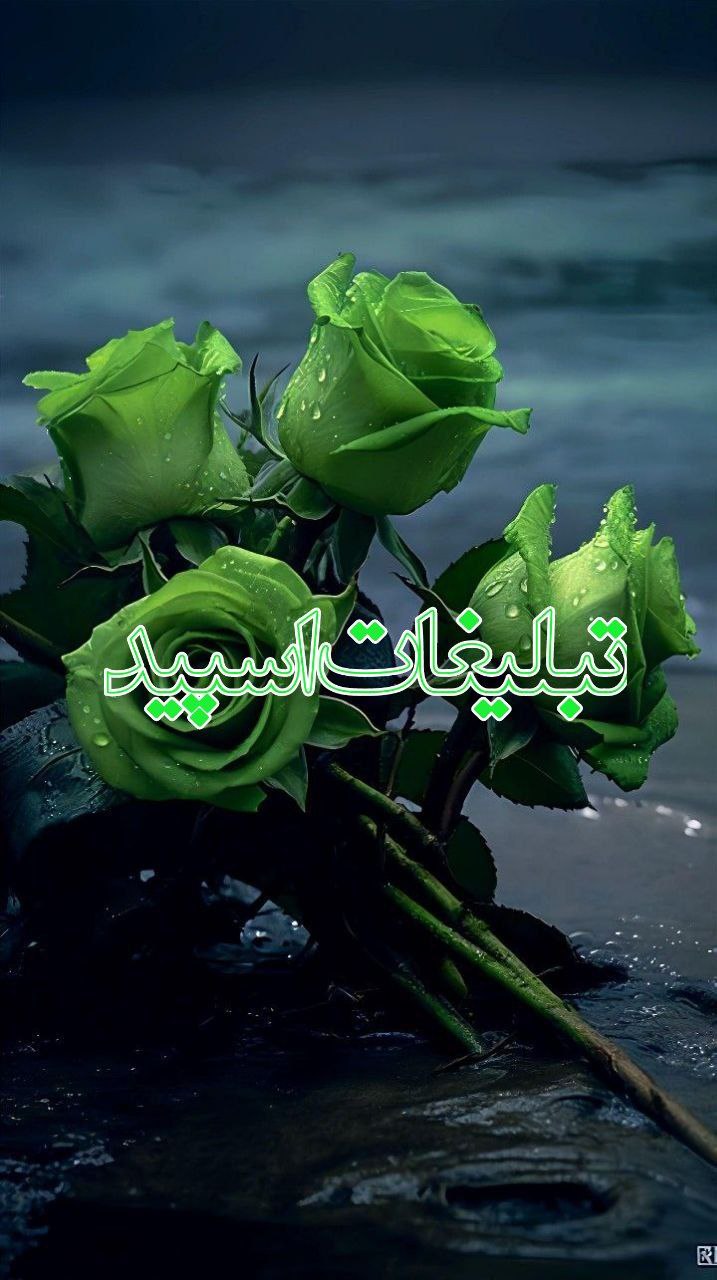 گرگ های وحشی (6)