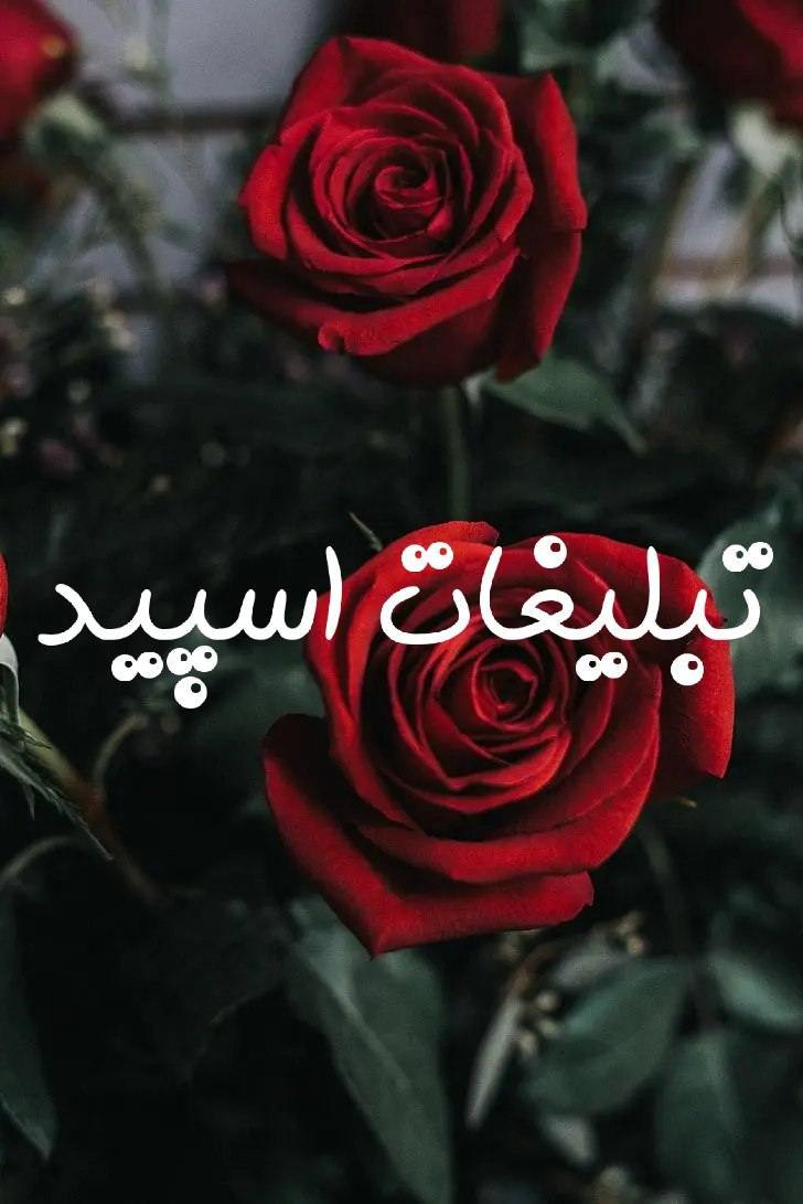 گروه چت تلگرام دورهمی عشق