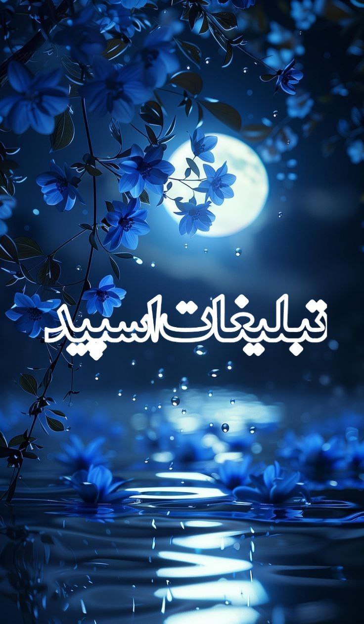 کآلی 🕊️ ـو