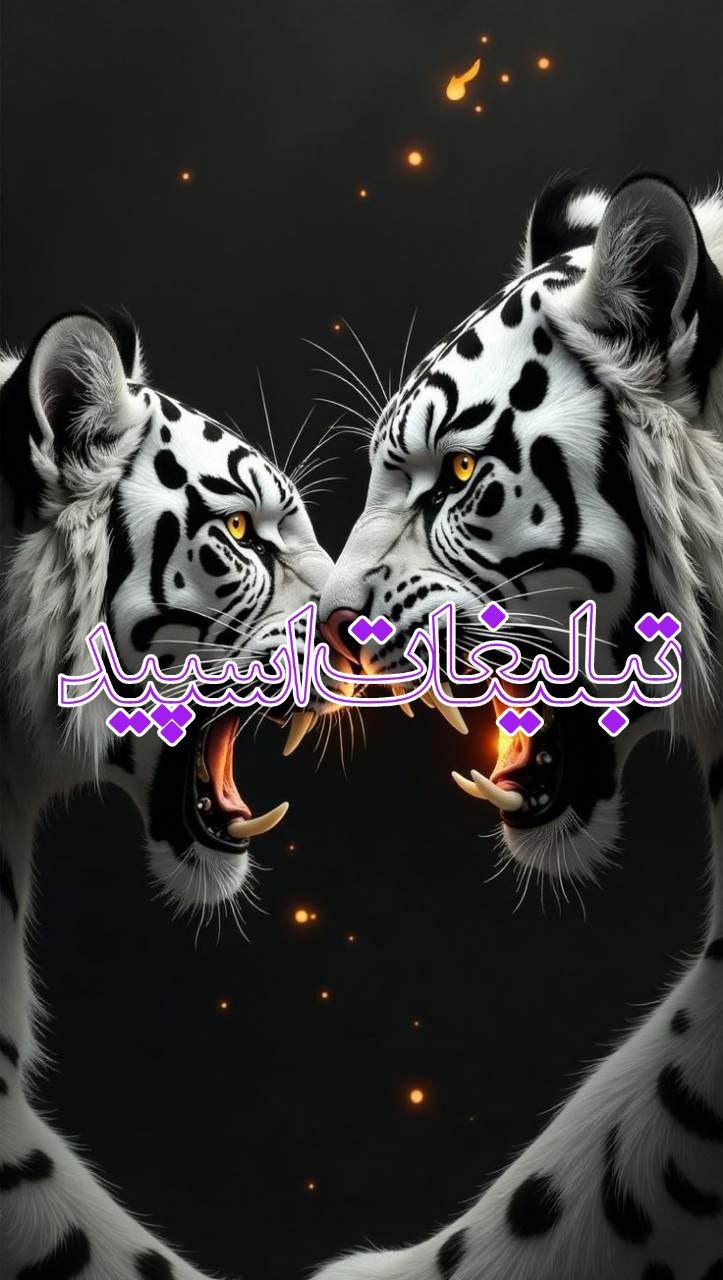 دوستان با معرفت همدل 🩵