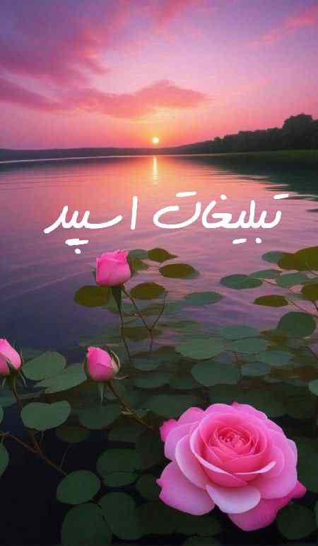 کانال ایتا آشپزی 