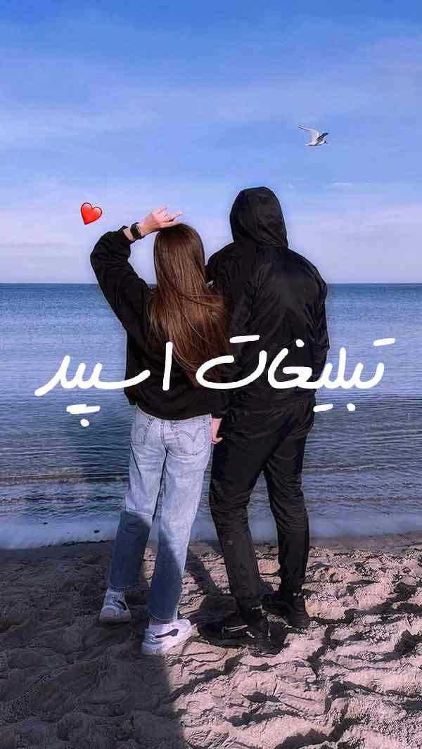 کانال روبیکای لوازم تحریر فانتزی آوواکادو