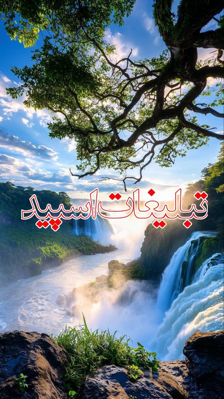 وایلد ولف|WILD WOLF (22)