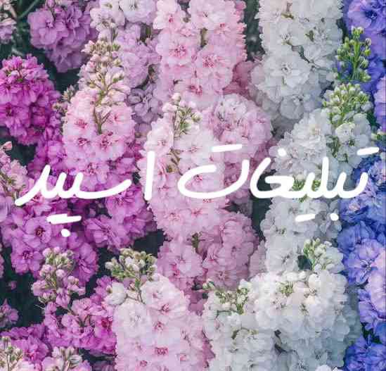چتکده تلگرام کلبه عشاق 