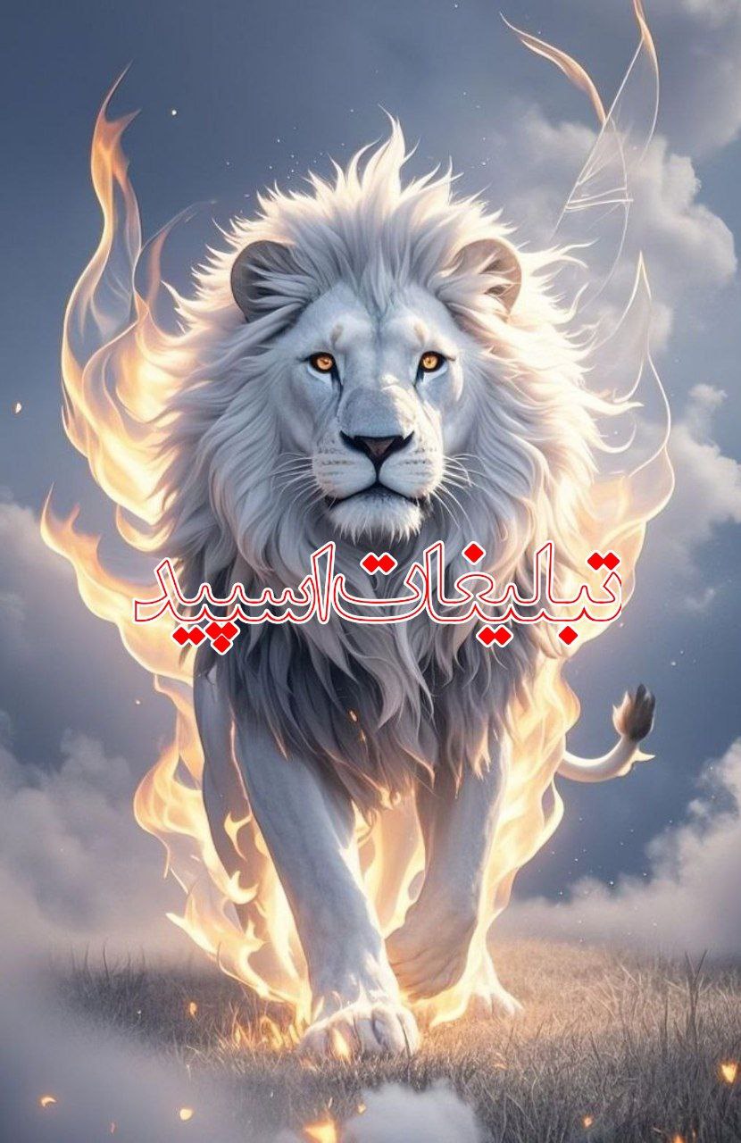 محفل خوبان ❤️‍🔥